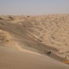 Sahara